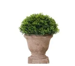 [A534016] PLANTA TAPIARIO CON MACETA 15CM - LIGUEN ILUMINACION